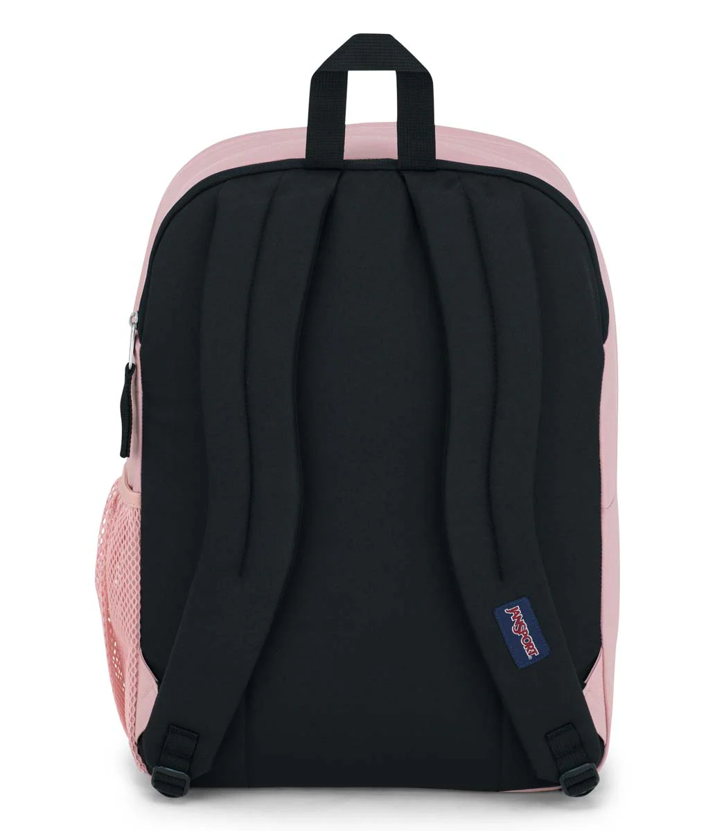 Big Student - Image 3