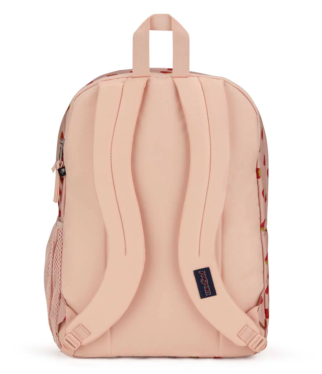Big Student - Image 2