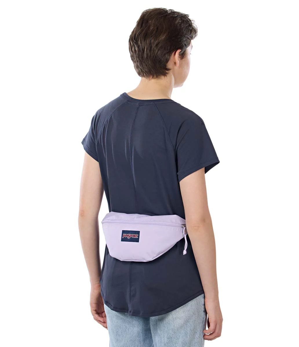 Swing Waistpack - Image 5